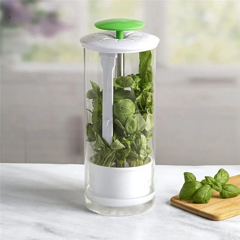 DT39 Herb Preservation Box, Breathable Herb Storage Container for Cilantro Parsley - Fresh Keeper with Ventilation &
