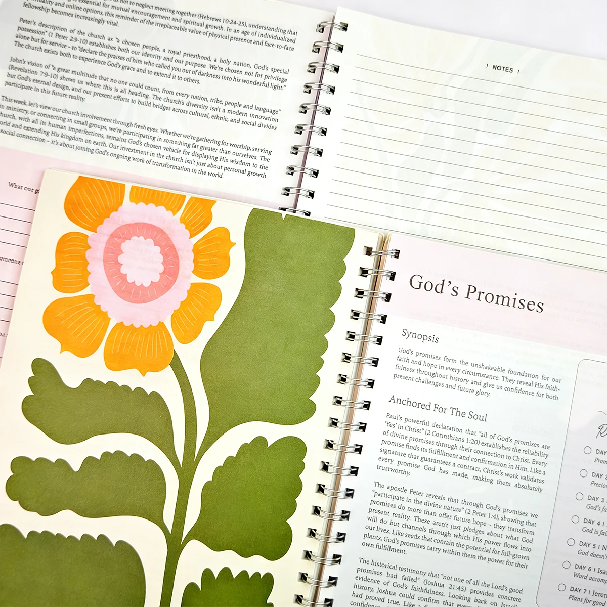 1-Set A4 "Bible In …