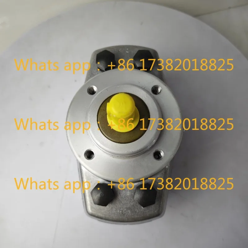 Voor HAWE hydraulische radiale zuigerpomp R1.0