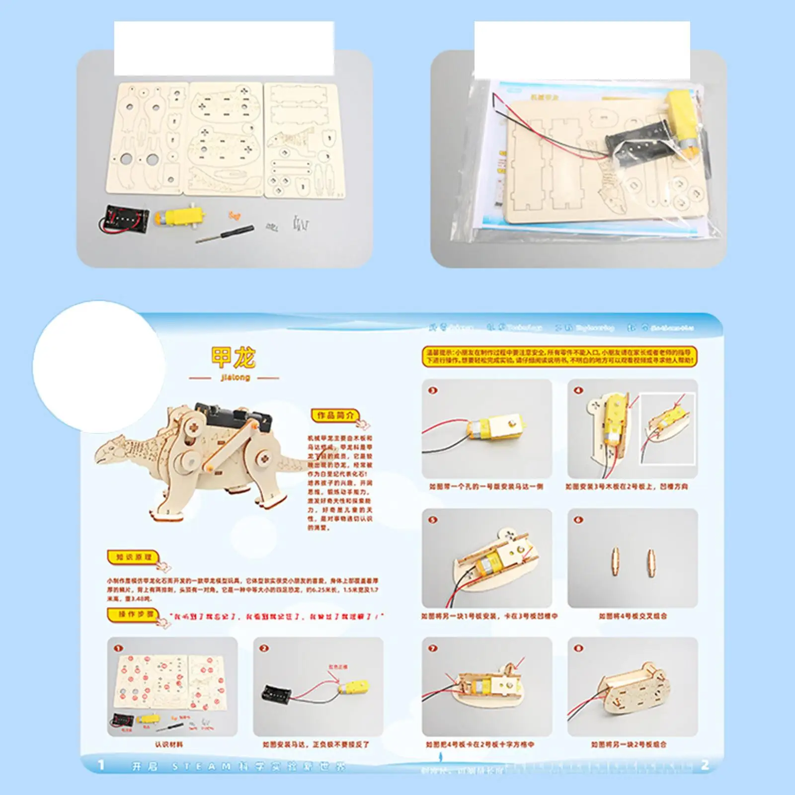 Science Experiment Assembled Handcrafting Crafts Toy Projects Education Toy for