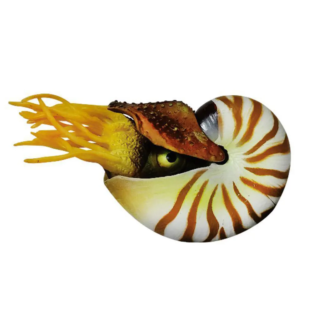

Simulation Nautilus Shell Decorative Aquarium Ornament Mediterranean Style Fish Tank Decorations Landscape Craft Art Material