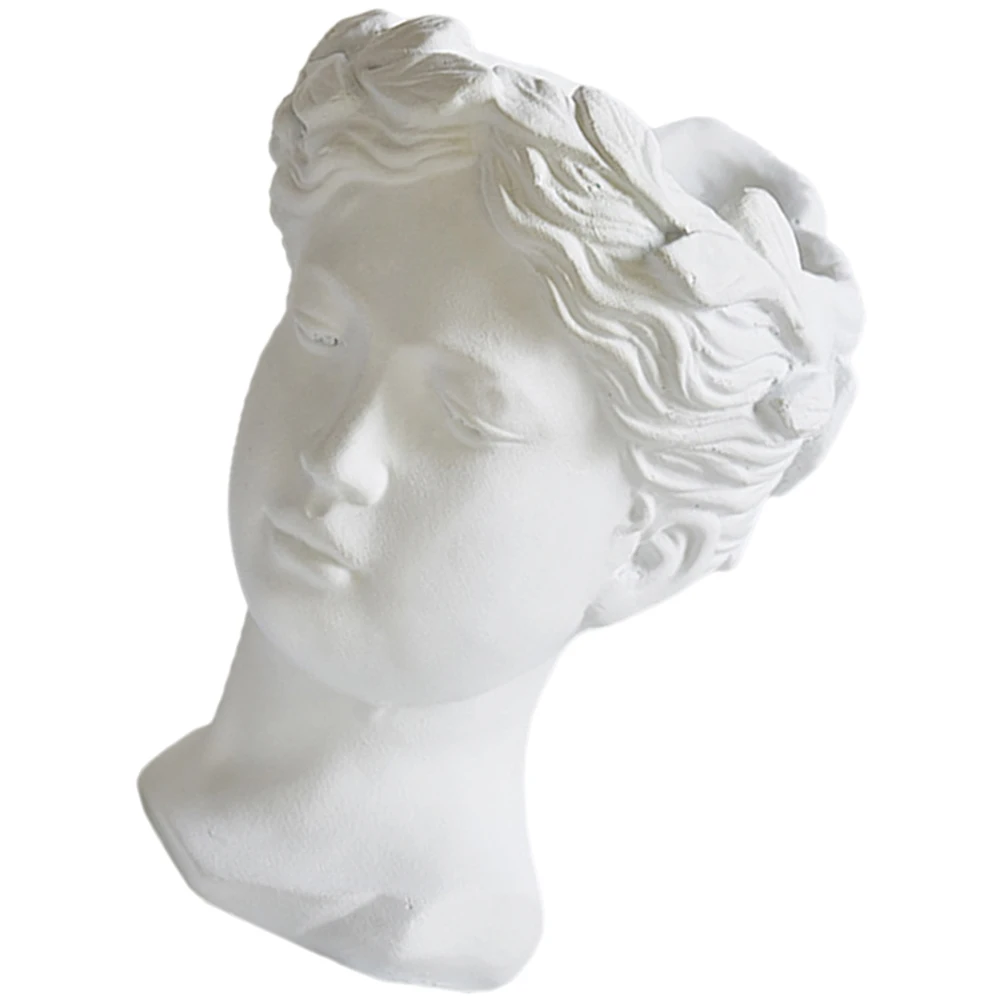 

Goddess Head Flower Pot Decor Vase Resin Statue Planter Succulents Container Indoor Desktop Ornament Tabletop Decor