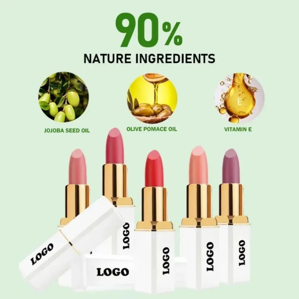 Marque privée Logo personnalisé Vegan blanc Tube carré mat rouge à lèvres longue durée ne se décolore pas imperméable brillant à lèvres maquillage en gros