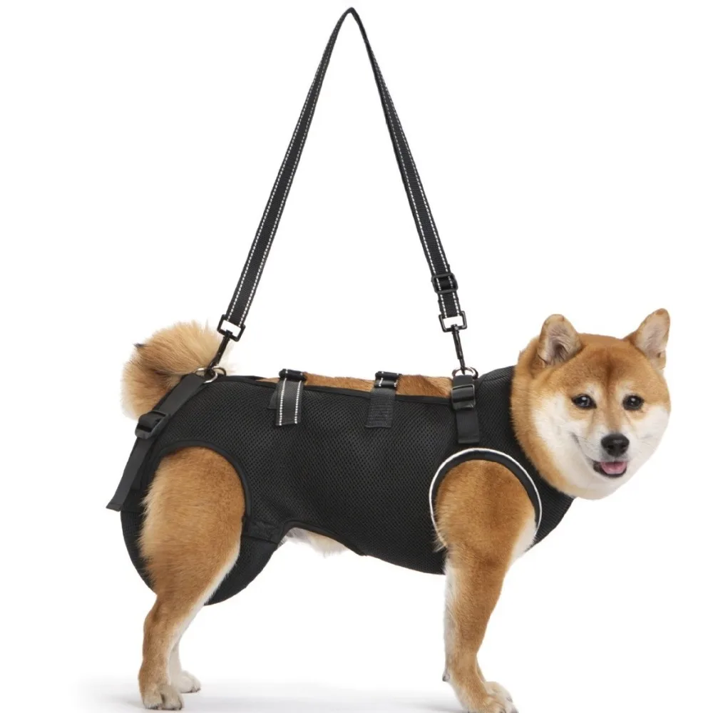 Adjustable Dog Lift Harness 1