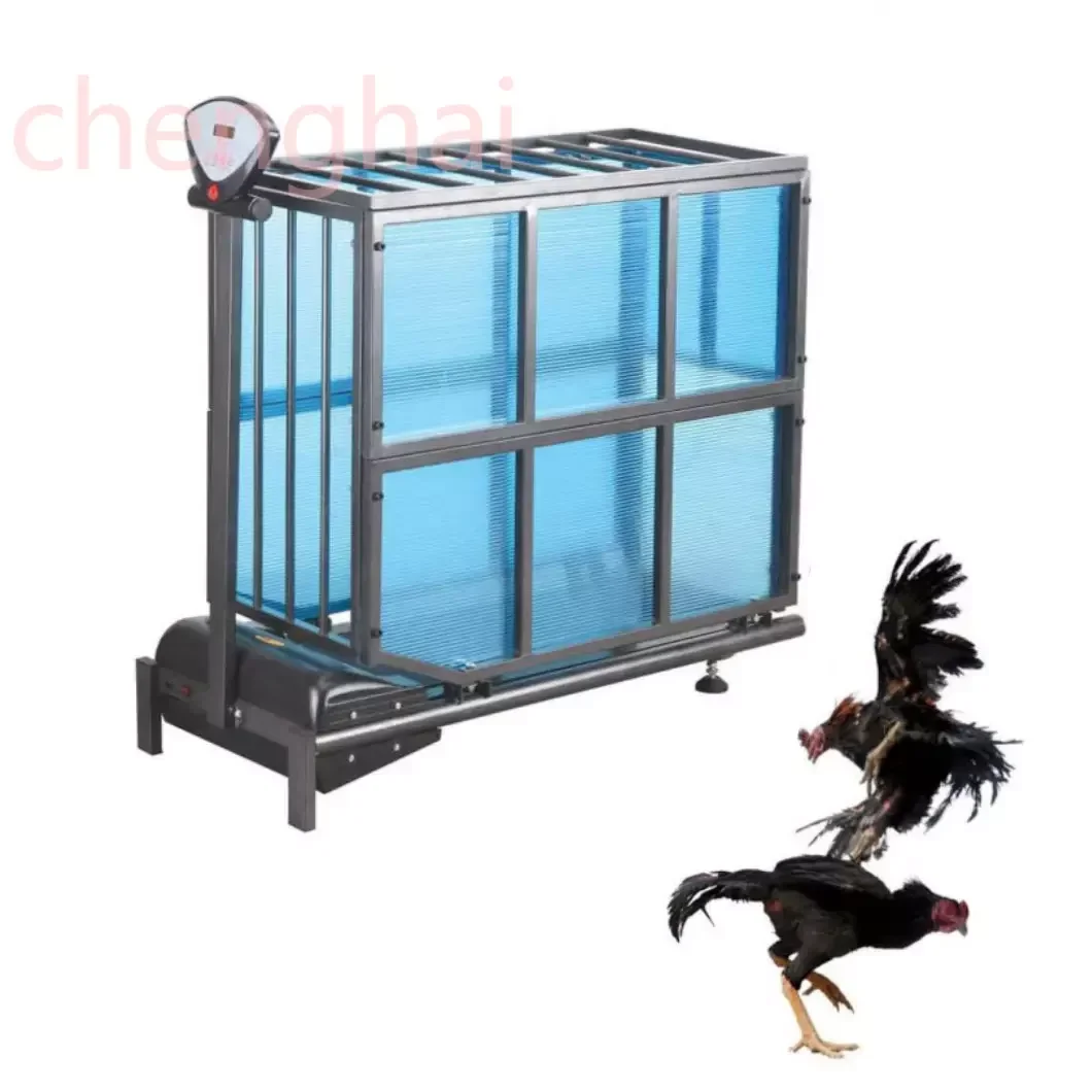 

Hot sale Pet Dog/Cat Training Fight Cock Electric Treadmill