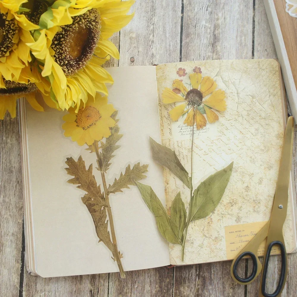 6pcs Big Size Dried Flower Yellow Flower Bouquet Style PVC Transparent Sticker Scrapbooking DIY Gift Decoration Tag