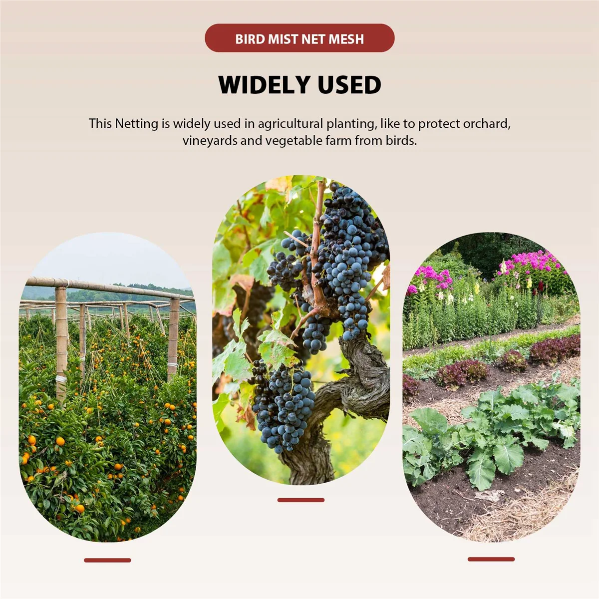 AT77 12M x 2.5M 13mm 구멍 과수원 정원 안티 새 그물 나일론 매듭 안개 그물
