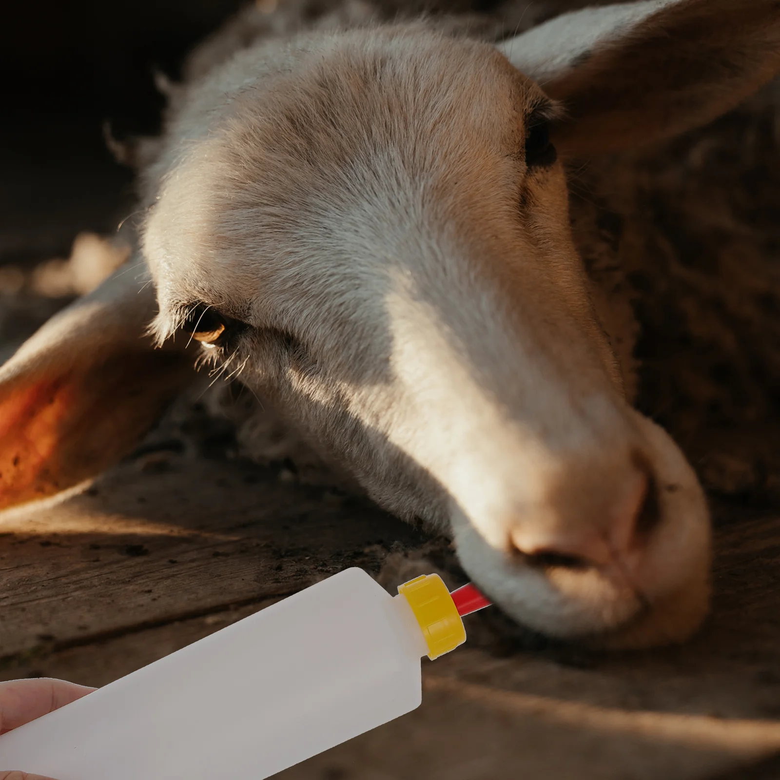 

1 комплект, бутылочка для молока ягненка, пластиковая прочная кормушка для кормления, съемные соски, подходят для детской козлы, маленьких животных, инструмент для кормления