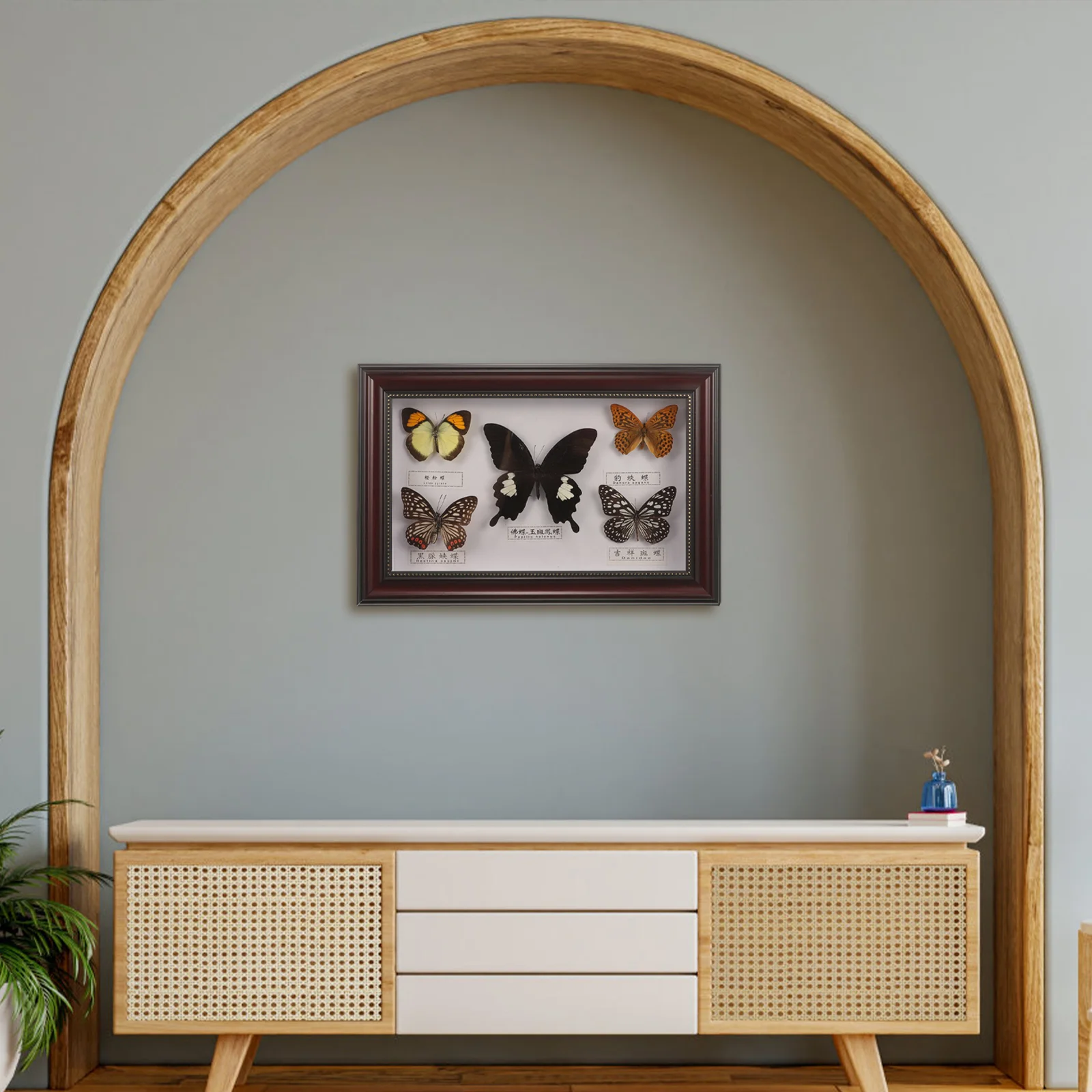Butterflies Specimen Picture Frame Butterfly Photo Wall Decoration Wooden Display for Hanging