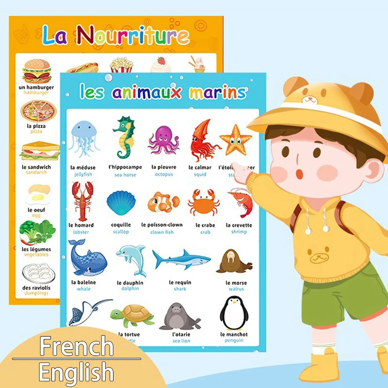 8 ملصقات من المفردات الفرنسية والإنجليزية، مع الرسوم التوضيحية الملونة للحيوانات والأغذية والفواكه، تتميز بـ 240 كلمة فرنسية