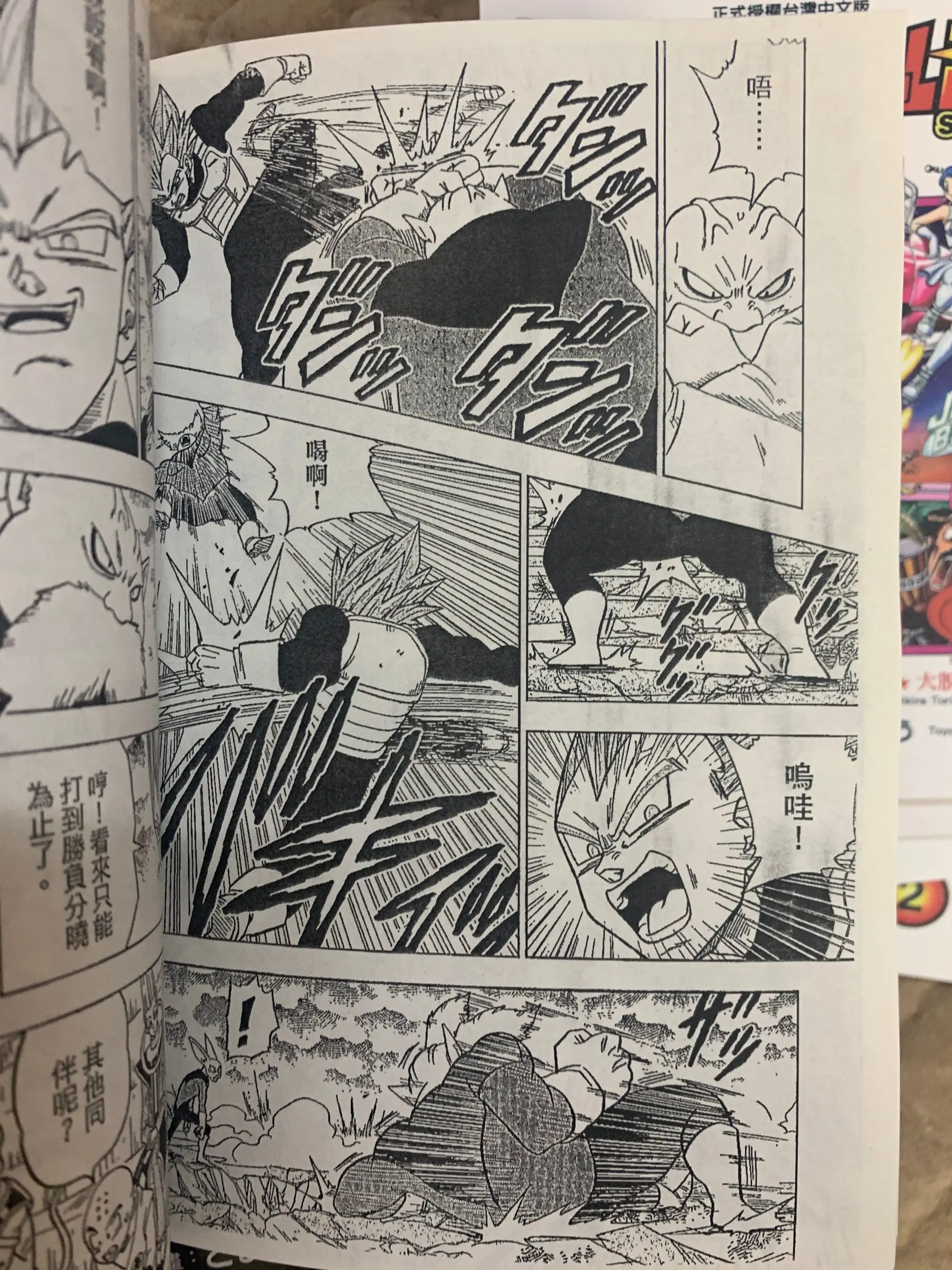 Long Zhu Chao Vol.1-22