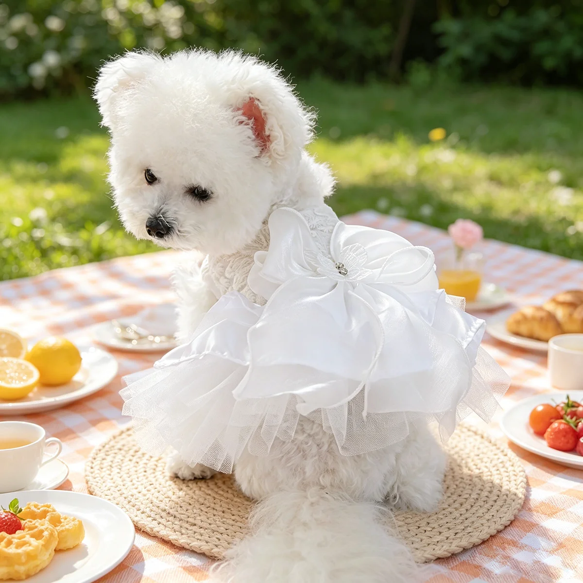 ชุดเดรสลูกไม้ผูกโบว์สุดหรู ชุด - Lace Teddy Lingerie บทวิจารณ์และราคา