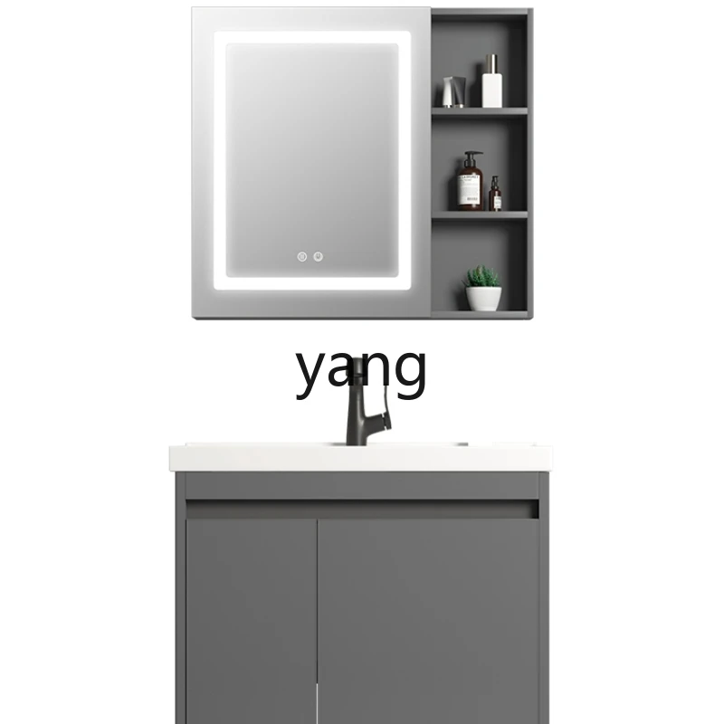CX  balcony laundry cabinet with sweeper base station storage bathroom with rubbing board laundry pool basin