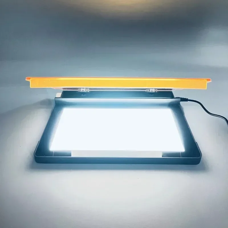 Dual LED Blue White Light Transilluminator High Brightness Low Background LED Transilluminator for Nucleic Acid Gel
