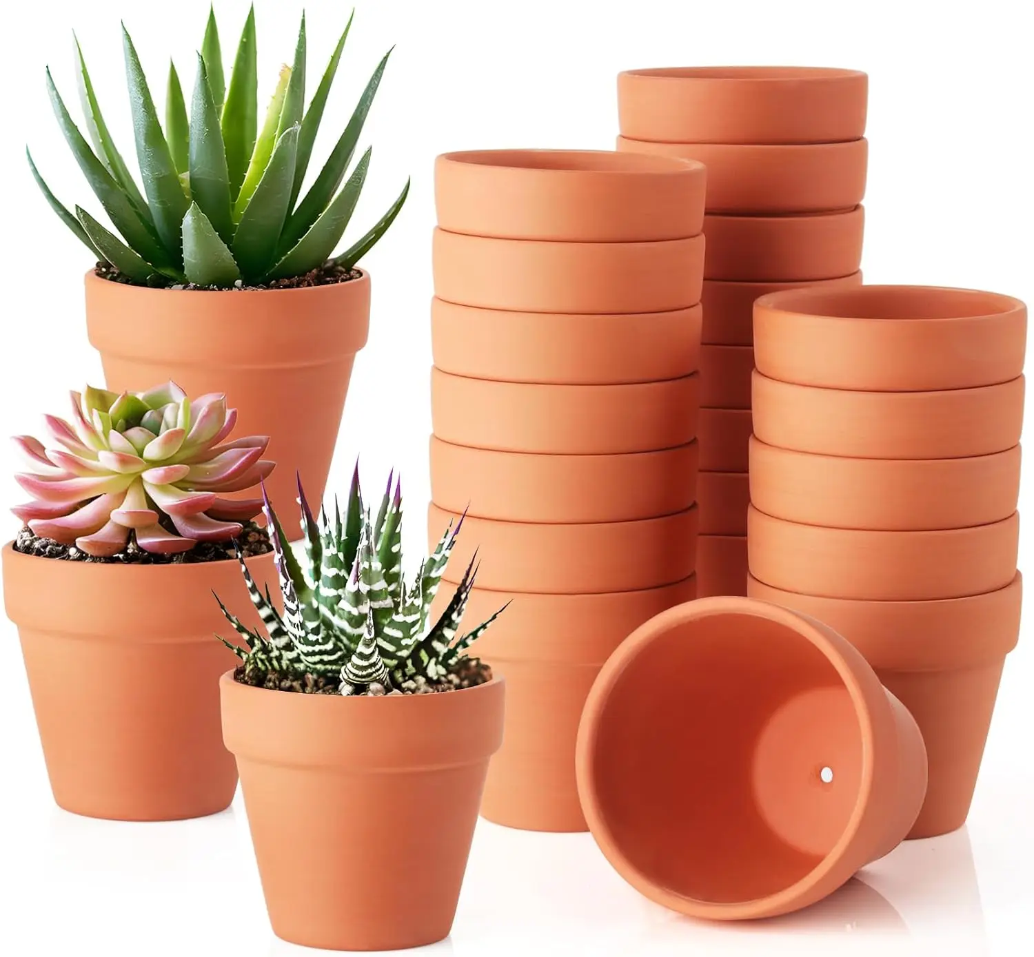 

24 Pack 3 Inch Terracotta Pots, Mini Clay Pots with Drainage Holes,Cactus Flower Nursery Terra Cotta Pot for Indoor/Outd