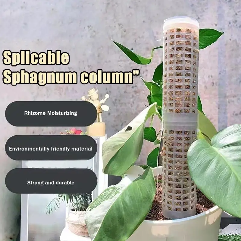 

Набор из 6 пластиковых опор для растений: подставки для комнатных вьющихся растений, держатели для горшечных растений, палки для поддержки роста растений, садовые опоры