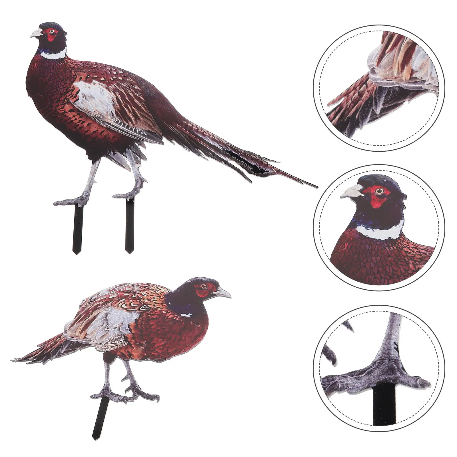 2Pcs Acrylic Pheasant Garden Stakes Lifelike Yard Decoration Outdoor Lawn Ornament Animal Ground Insert Sign Decorative Art