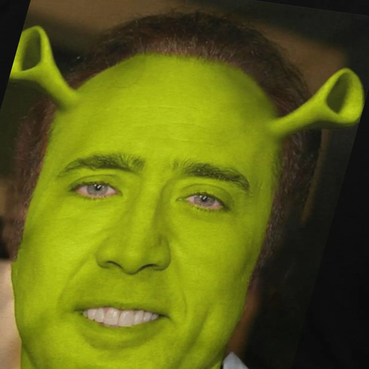 Men Shrek T Shirt Nicolas Cage Clothes Funny Short Sleeve Round Collar Tee Shirt New Arrival T-Shirt