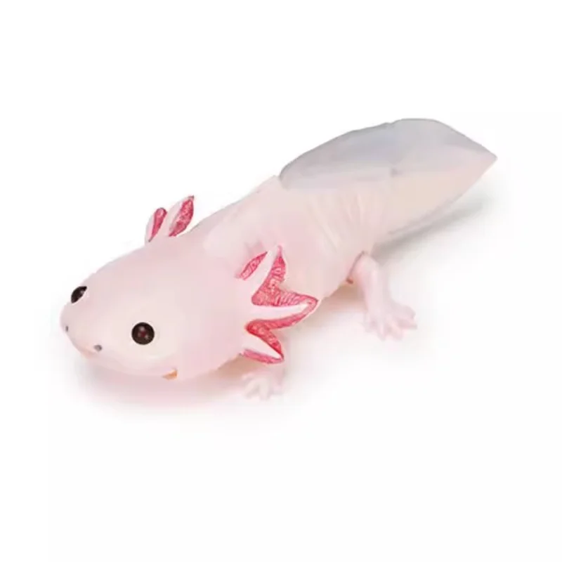 بانداي الأصلي غاشابون السمندر الشكل Axolotl نموذج علم الأحياء تمثال نموذج جمع تزيين لعبة مكتب للبالغين #5