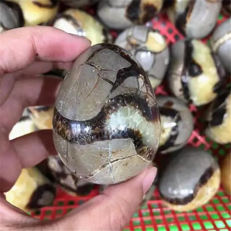 Natural Dragon Septarian Quartz Crystal Egg Healing Geodetic Survey Mineral Specimen