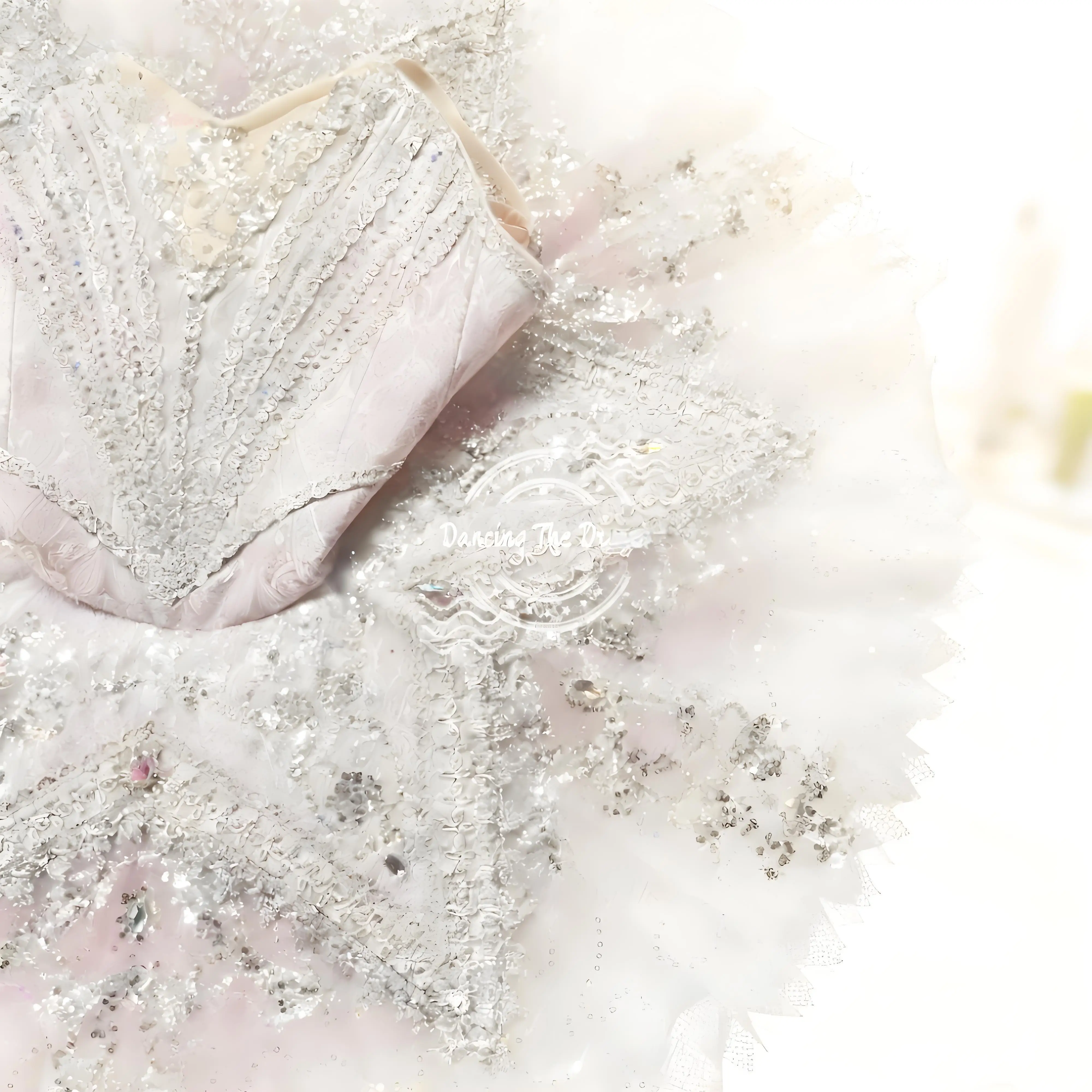 Estrella brillante - Tutú de ballet con motivo lavanda Vestido de ballet elegante y brillante con falda de tul con estampado de estrellas