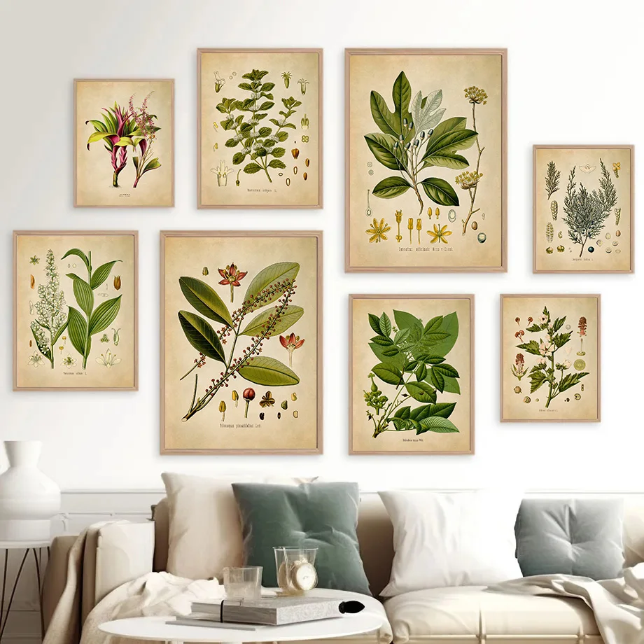 Vintage Medicinal Plants Botanical Illustration Reproduction Canvas Poster And Prints Aesthetic Wall Pictures Home Room Decor