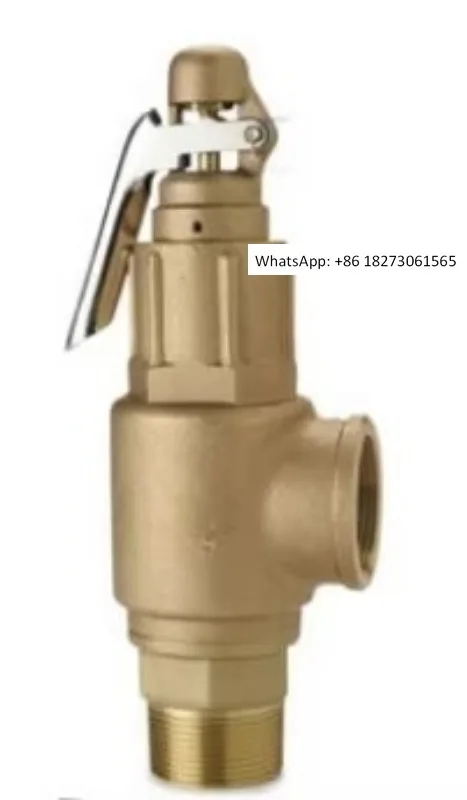 

317 steam safety valve with handle threaded relief valve SV-B29 safety valve DN2025