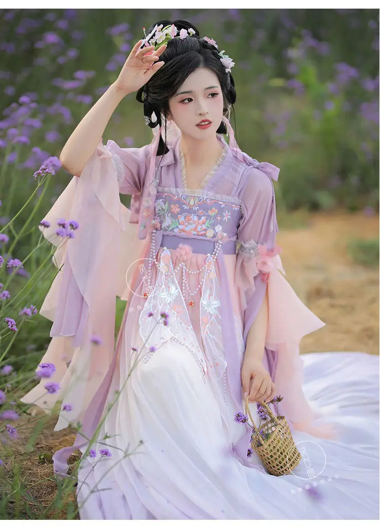 Nuovi elementi cinesi femminili migliorati Hanfu stile cinese Tang gonna al petto elegante fata retrò tradizionale abito Hanfu