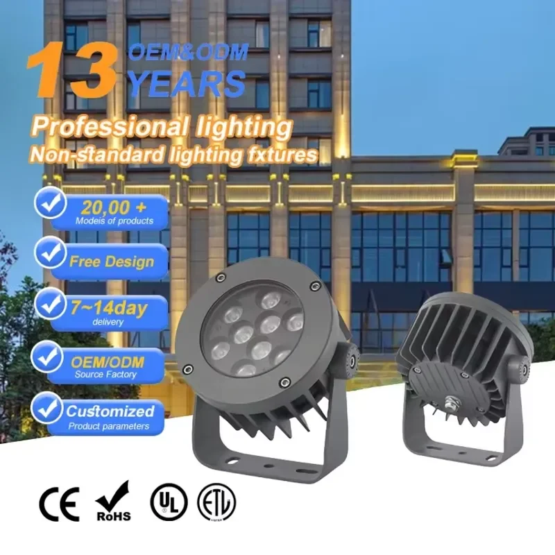 12W 24W 36W 54W 100W IP66 SMD COB LED Floodlight with AC Supply for Garden Tennis Court Basketball