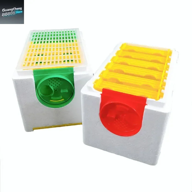 

Коробка для выращивания пчел Queen Bees, двухслойная коробка для пчеловодства с 10 рамами, коробка для лужи из пенопласта, коробка для пищеводства своими руками, гени для резервного инструментов