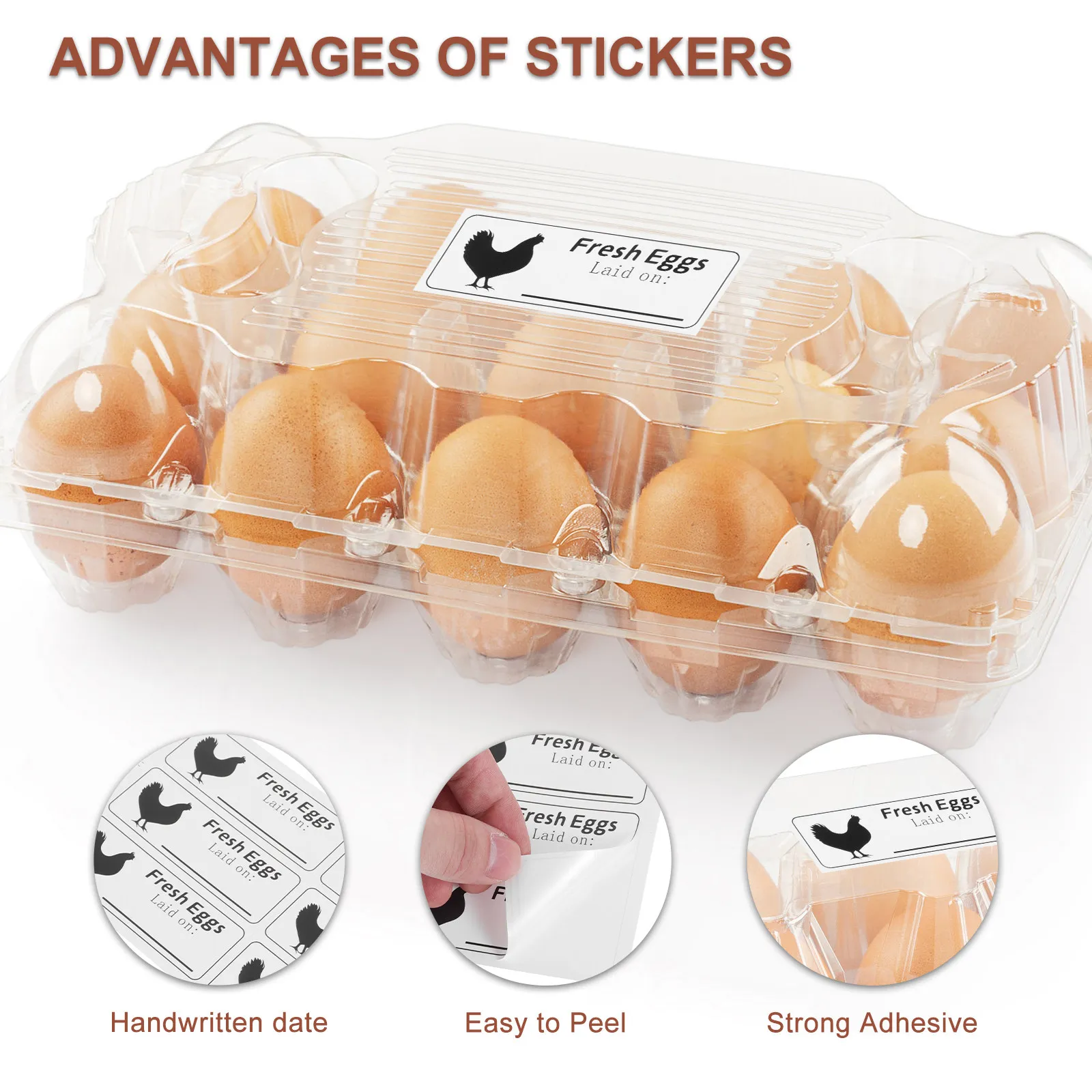 20 Sheets Eggs Fresh Produce Date Sticker Information Care Stickers Chicken Labels