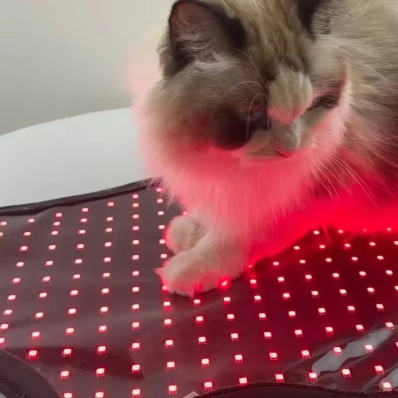660nm 850nm LED Light Therapy Coat Pet Pain Relief Healing Pad for Dogs & Cats