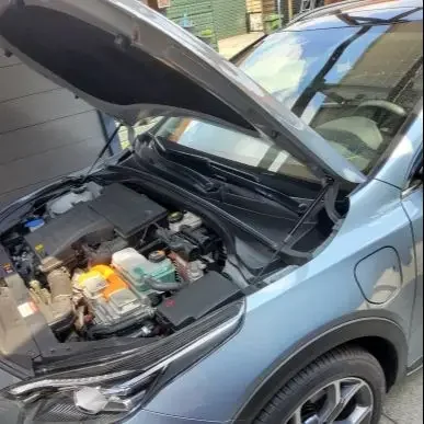 

Амортизаторы капота (газовые пружины) для Kia Ceed, XCeed III, CD 2018-2026, передние, 2 шт.