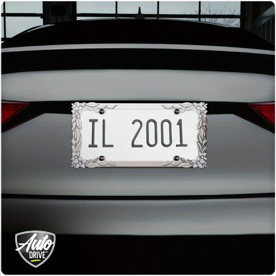 إطار لوحة ترخيص معدني فضي، معدن مطلي بالكروم، سهل التركيب، اعتماد تصميم ديزي ثلاثي الأبعاد