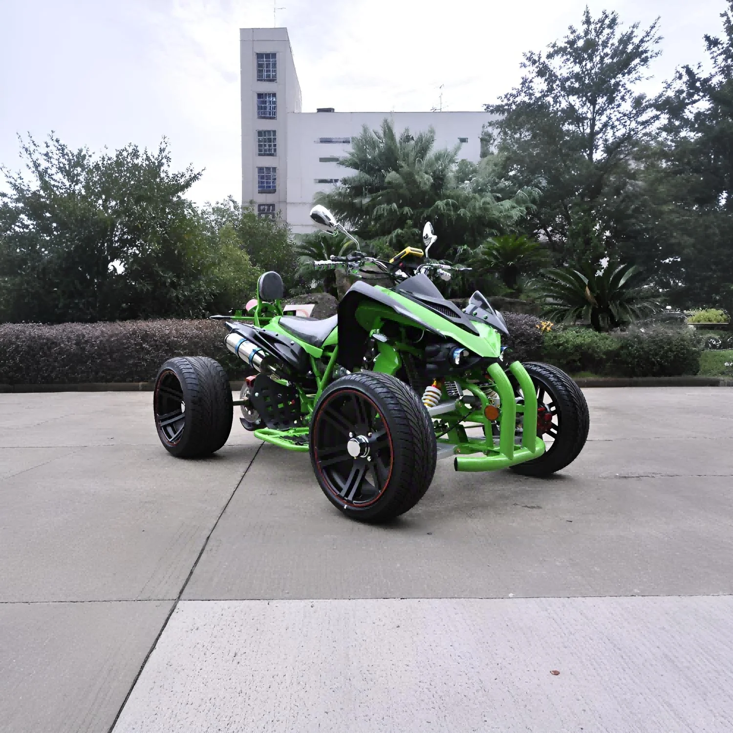 Custom All-Terrain 200cc 300cc 350cc Adult Sport ATVs Off-Road Quad ATV 4x2 Electric Start 4-Stroke Engine Chain Drive