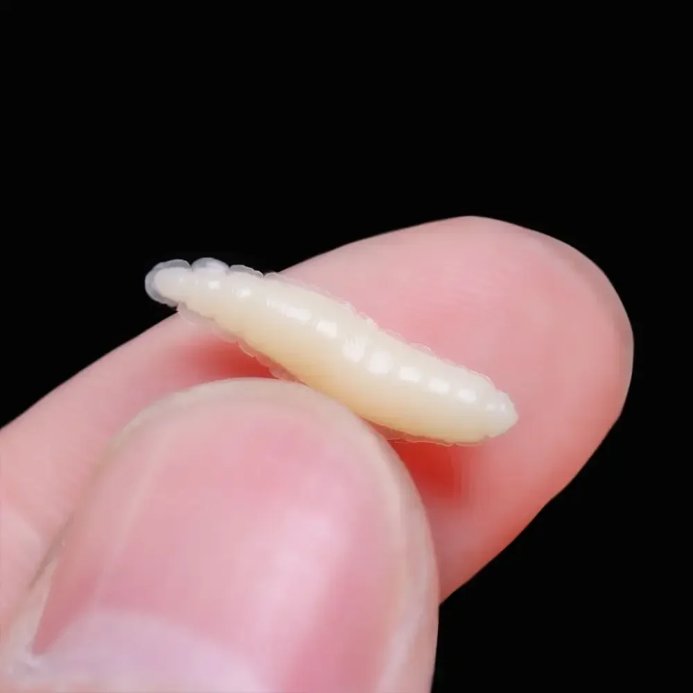 50Pcs 1.6cm Beige/Luminous Fishing Lures Maggot Grub Soft Fishing Lure Bionics Smell Worms Glow Shrimps Fishing Bait Accessories