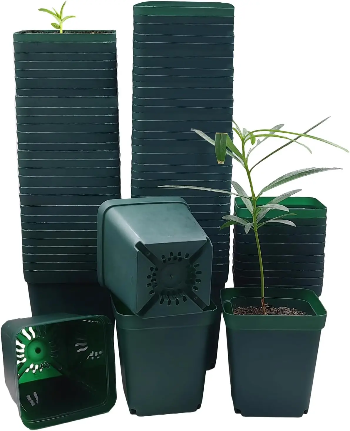 

Square Nursery Seedling Pot 3.5 Inches 90 Pcs, Small Nursery Pot Plastic Thick and Sturdy Seed Start Germination Pot for