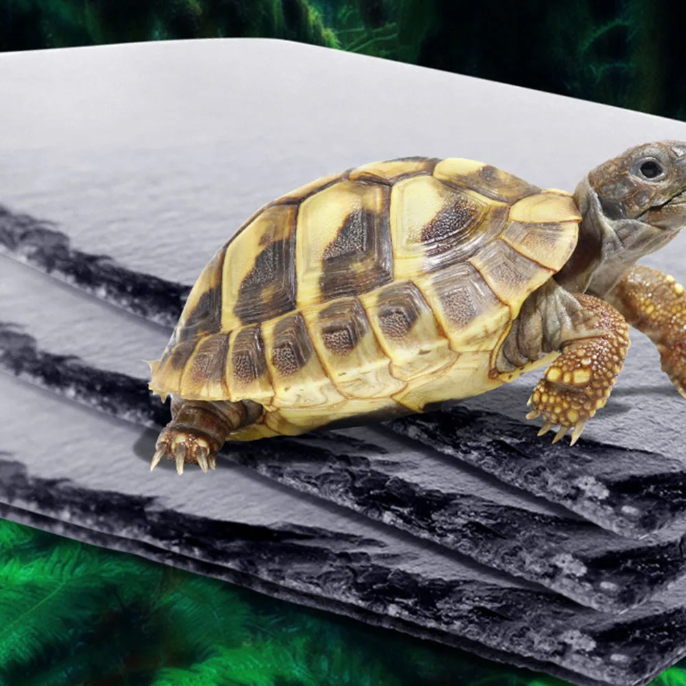

Reptile Rock Turtle Reptile Rock Turtle Rock Tortoise Supplies Tortoise Accessories
