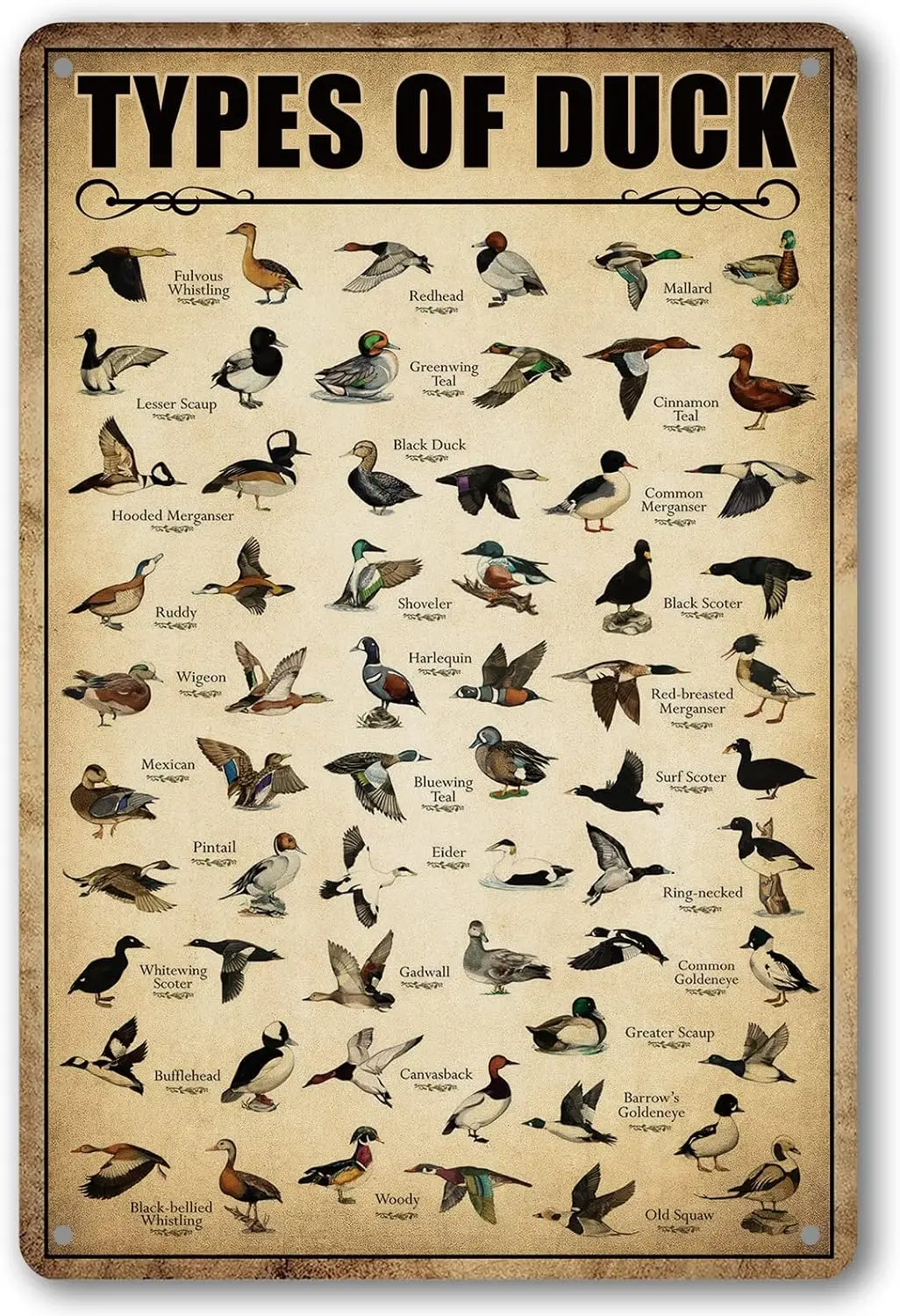 Entenmotiv-Blechschild, Entenjagd-Dekoration, Entenwissens-Metallschilder, Vintage-Entenjagd-Dekorationen für Zuhause und Küche