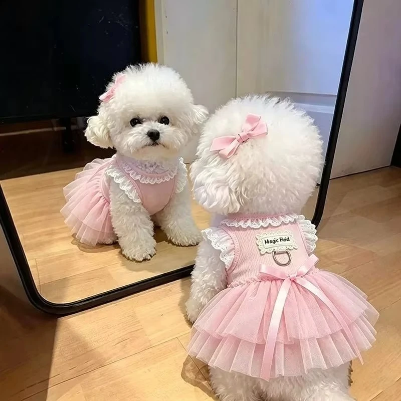 Falda de tul para pomerania de verano, ropa ligera para mascotas, vestido de encaje con lazo para cachorros, ropa transpirable y bonita para perros, falda para maltés.