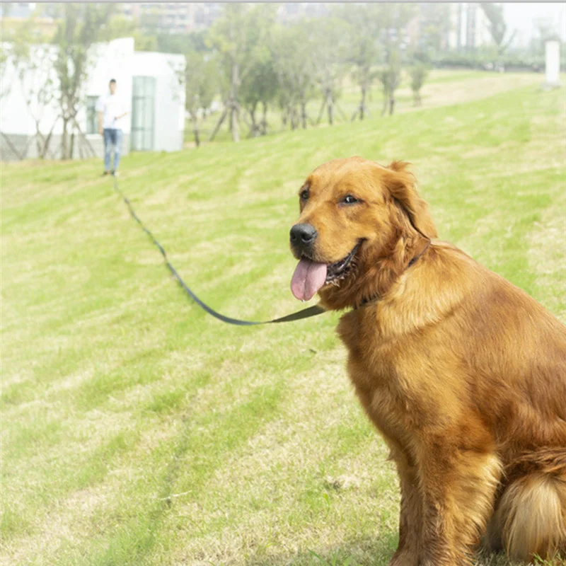 Long Dog Leash Rope with Comfortable Sponge Handle, Pet Lead Belt, Outdoor Training Dog Lanyard, Small Medium Large Dogs, 10m