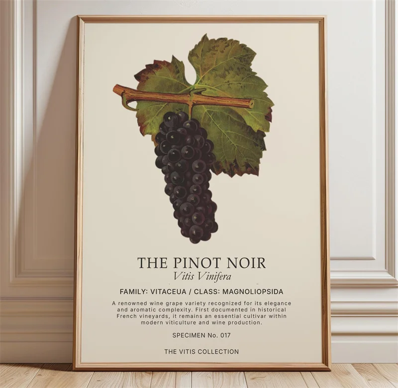 Vintage-style Grenache Wine Poster—a Fun, Botanical-themed Canvas Print Featuring The Grape Variety, Perfect for Kitchen Décor