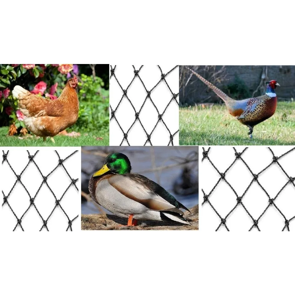 عرض ساخن. شبكة طيران سوداء شديدة التحمل معقودة ثقيلة 2 بوصة (25 قدم × 50 قدم)، متينة، سهلة التركيب - الأفضل