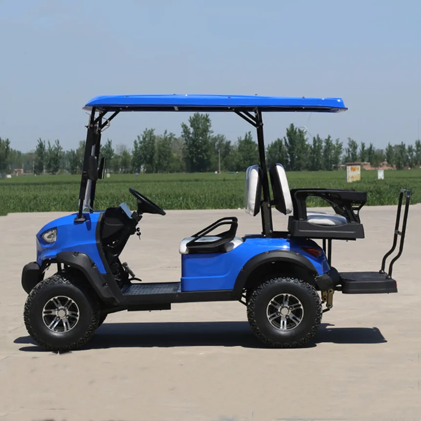 Golf Cart Wholesale Hot Sale Customized Solar Panel Independent Front Suspension All-Terrain Off-Road Vehicle