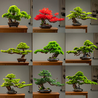 Simulation of Podocarpus bonsai new Chinese style fake tree thuja porch decoration sales office shape welcoming pine ornaments