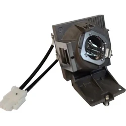 Replacement Original Lamp Module 5J.JNL05.001 For BENQ TK700STi Projector