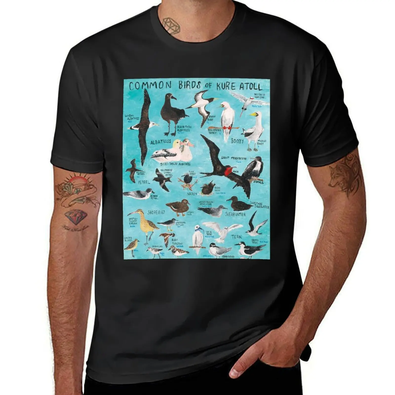 Common Birds of Kure Atoll T-Shirt oversizeds sublime aesthetic clothes cute clothes mens graphic t-shirts anime