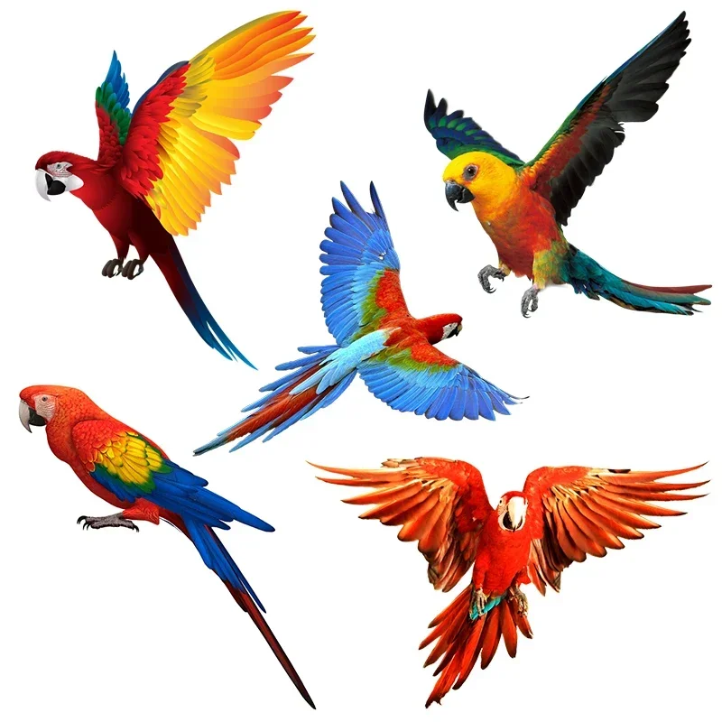 Hand drawn parrots, cars, walls, bathrooms, toilets, living rooms, wardrobes, refrigerators, home decor, exquisite stickers