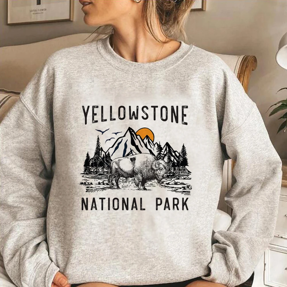 Sudaderas con capucha de Yellowstone para mujer, ropa gráfica de invierno, sudaderas Kawaii para mujer