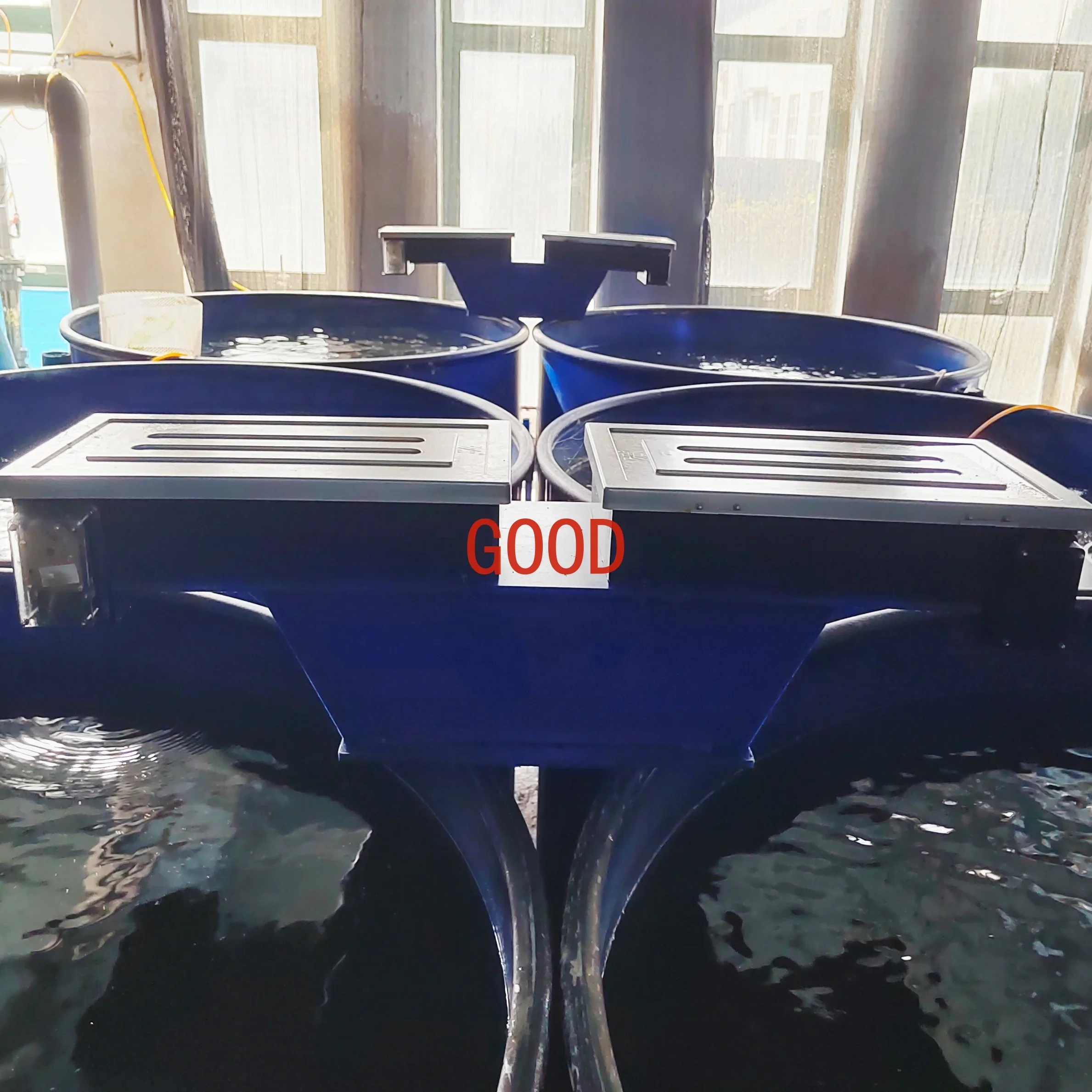 Alimentador automático de peixes com cinto